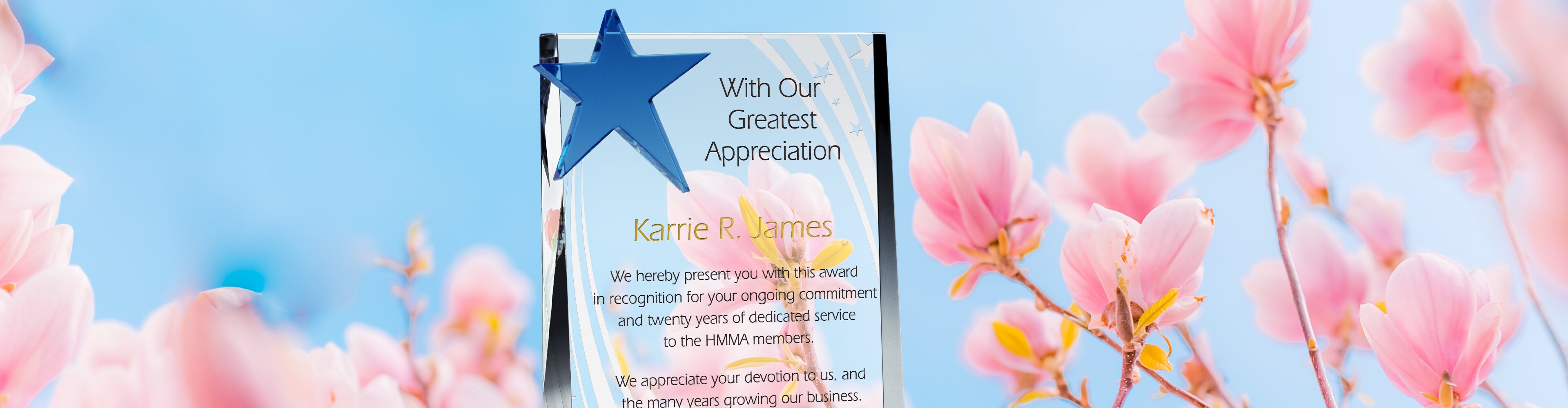 appreciation-plaque-wording-ideas-diy-awards