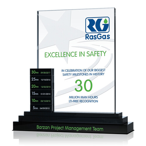 Excellence in Safety Perpetual Award