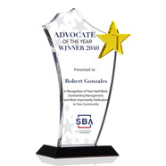 Gold Star Advocate of the Year Award Plaque