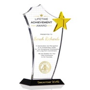 Gold Star Lifetime Achievement Award Plaque