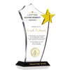 Gold Star Lifetime Achievement Award Plaque | DIY Awards