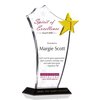 Gold Star Spirit of Excellence Award Plaque | DIY Awards